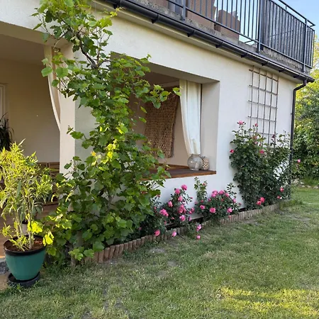 Dom Sloneczny Apartment